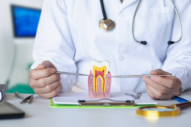 Best Walk-In Emergency Dental Services in Portland, TN
